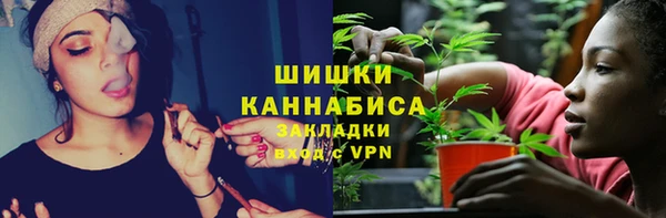 твердый Горно-Алтайск