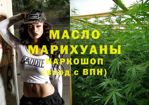 молекула духа Горняк