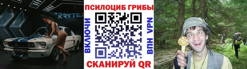 Псилоцибиновые грибы прущие грибы  Купить где  Адыгейск 